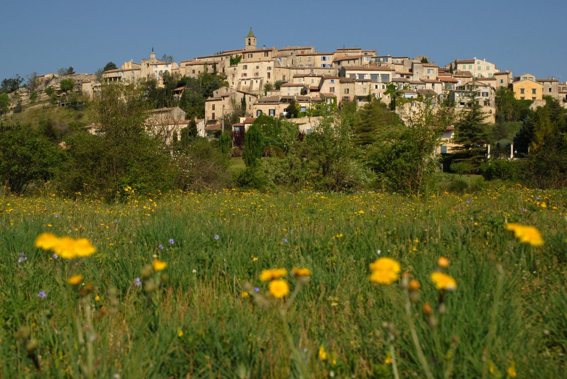 Dauphin ©Philippe Leroux