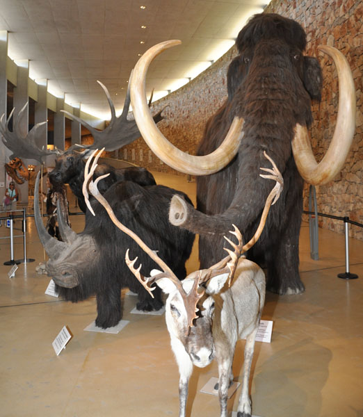 Museum of Prehistory of the Gorges du Verdon