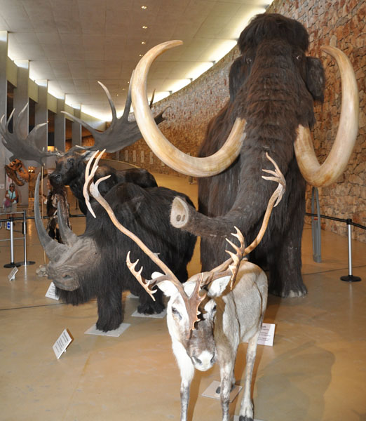 Museum of Prehistory of the Gorges du Verdon