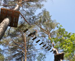 Treetop adventure playground in Barcelonnette