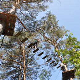 Treetop adventure playground in Barcelonnette