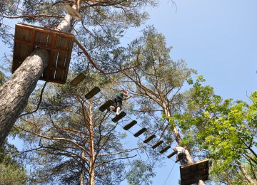 Treetop adventure playground in Barcelonnette