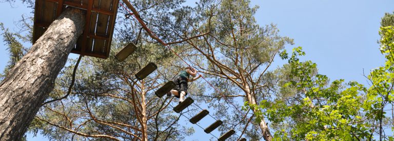 Treetop adventure playground in Barcelonnette