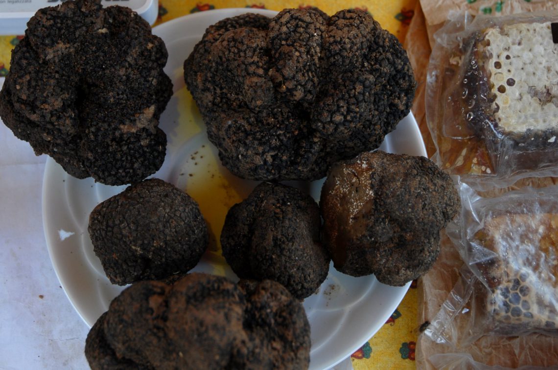 Truffles from Haute-Provence