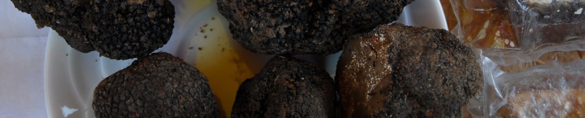 Truffles from Haute-Provence