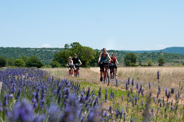 Cycling in the Pays de Forcalquier Montagne de Lure Luberon