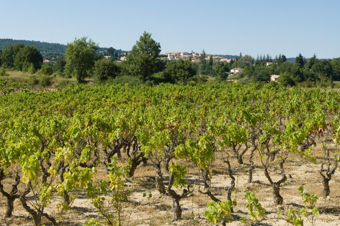 Wine AOC Pierrevert ©M. Boutin