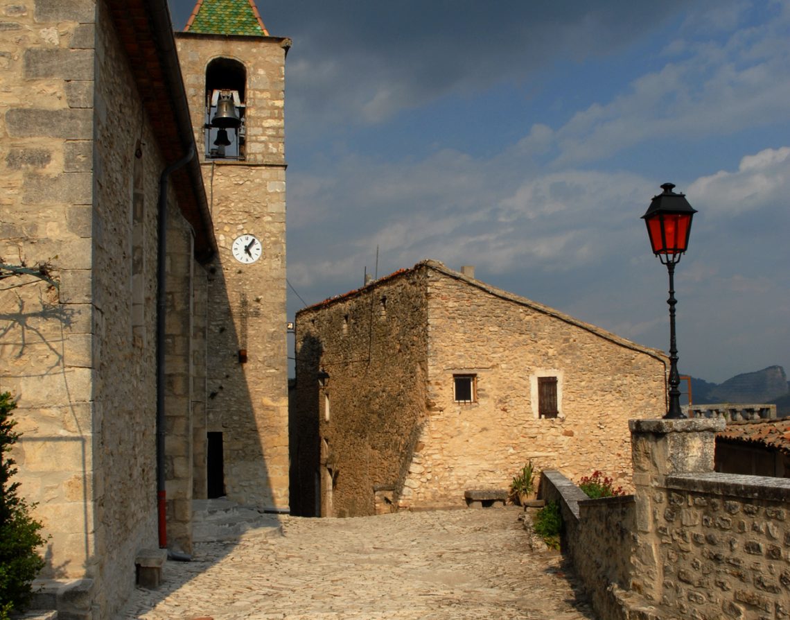 Dauphin ©Philippe Leroux