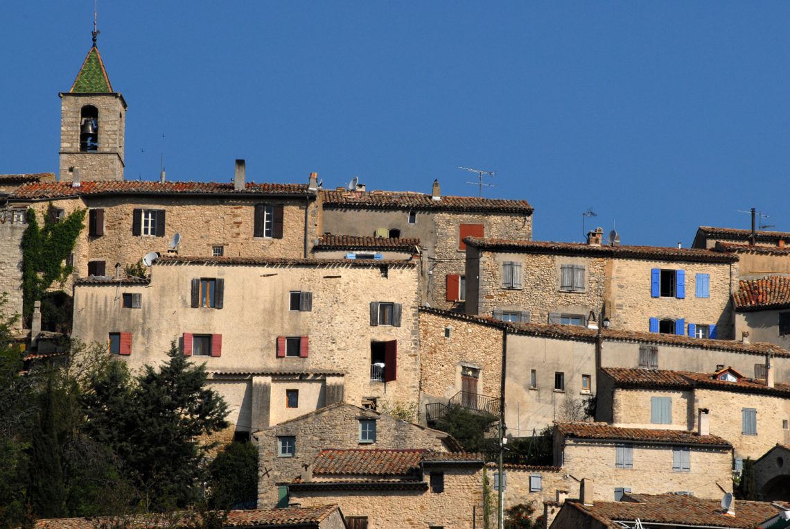 Dauphin ©Philippe Leroux