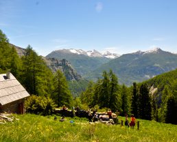 randonnée en montagne Chasse Val d'Allos