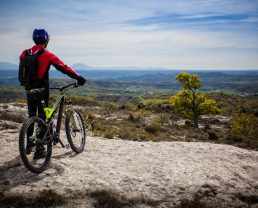 VTT Pays de Forcalquier Montagne de Lure ©Michel Delli Photographies