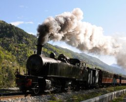 Train des Pignes à vapeur © GECP