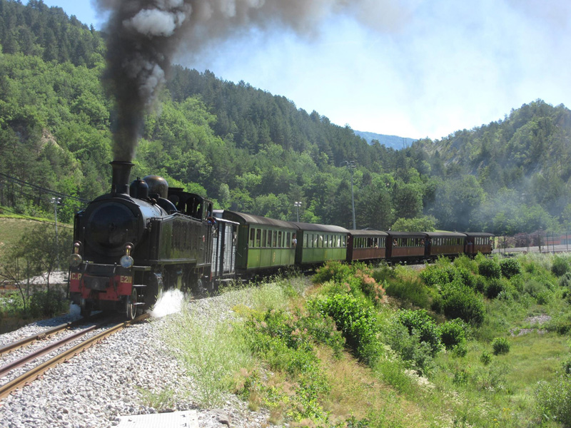 Train des Pignes à vapeur