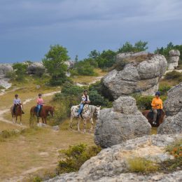 cheval dans les Mourres ©Centre de Randonnée Equestre JANSSAUD