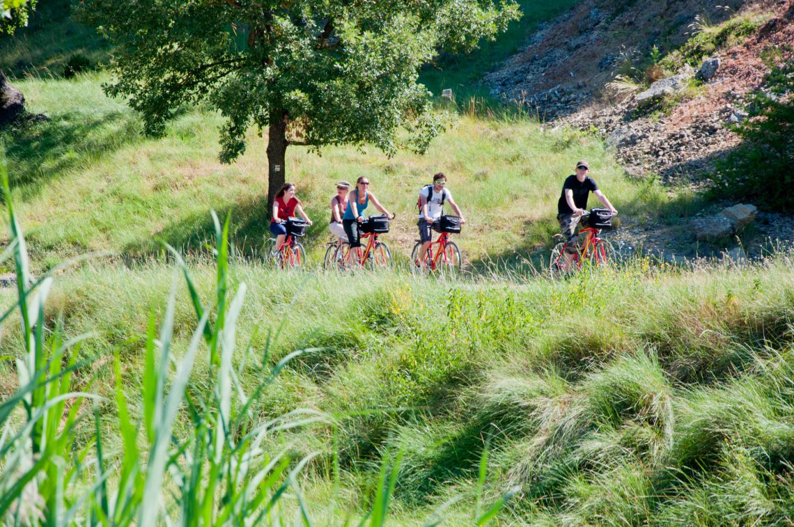 Cycling on the Valensole Plateau / Gréoux-les-Bains