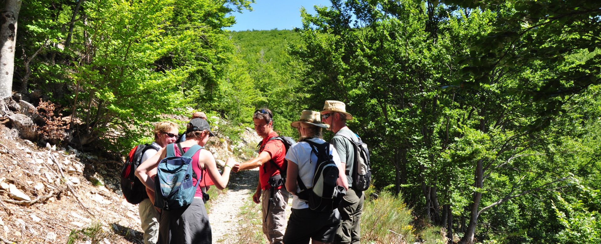 randonnée accompagnée