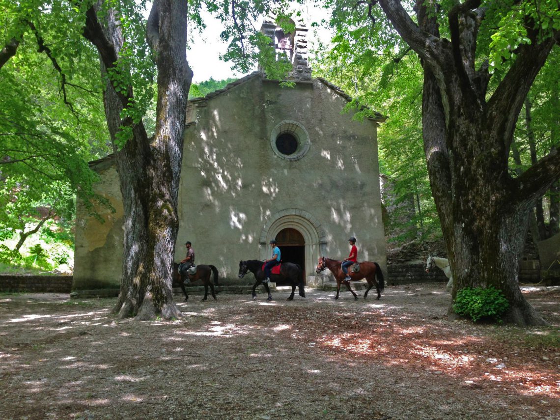 Riding itineraries in Haute-Provence Luberon montagne de Lure