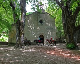 Riding in Haute-Provence Luberon