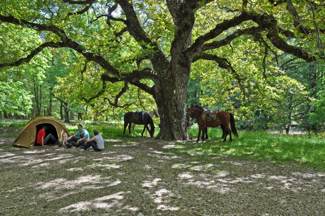 Riding in Haute-Provence Luberon