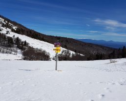 montagne de Lure en hiver ©OT Lure