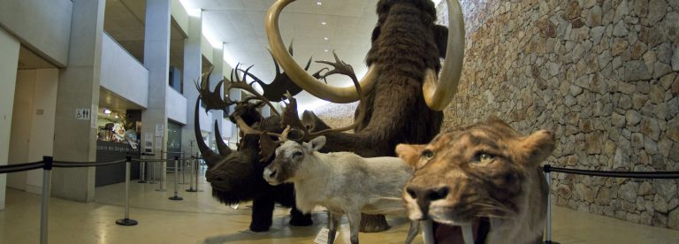 Museum of Prehistory of the Gorges du Verdon in Quinson