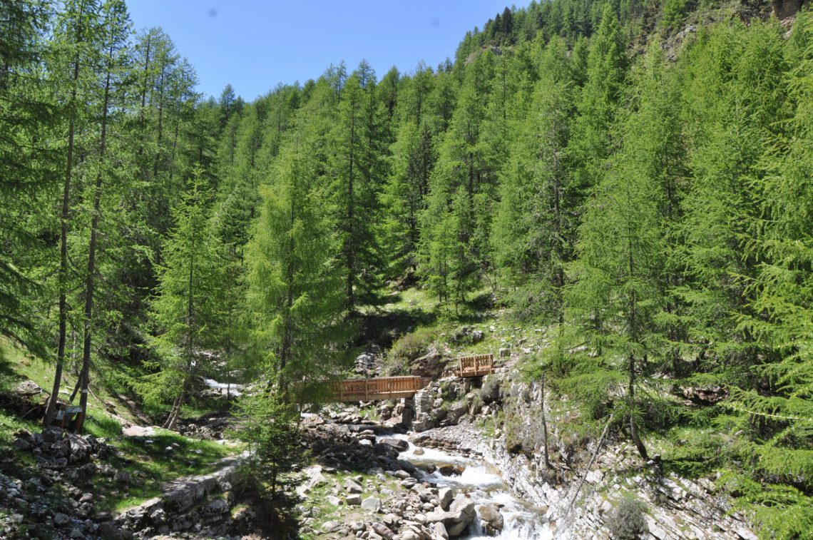 Trail running in Haut-Verdon vallée de Chasse