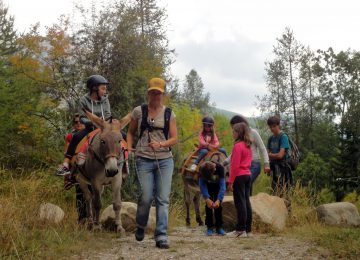 hike with a donkey