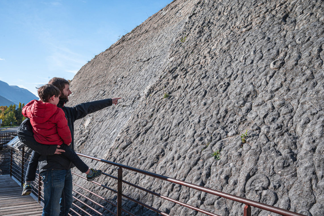 The ammonites slab in Digne-les-Bains ©Globe Blogueurs