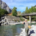 trout on river